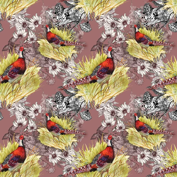 Pheasant animals background — Stock Photo, Image