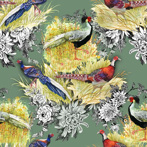 Pheasant animals background — Stock Photo, Image