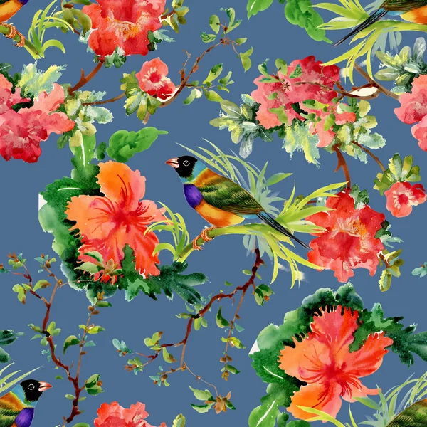 Exotic birds with flowers — Stock Photo, Image