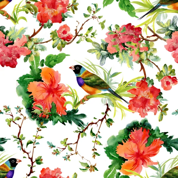 Virágok Egzotikus madarak — Stock Fotó