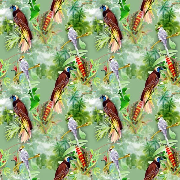 Pattern with  exotic birds — Stock Photo, Image