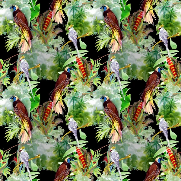 Pattern with  exotic birds — Stock Photo, Image