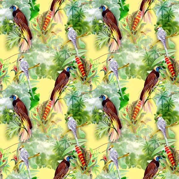Vzorek s exotickými ptáky — Stock fotografie