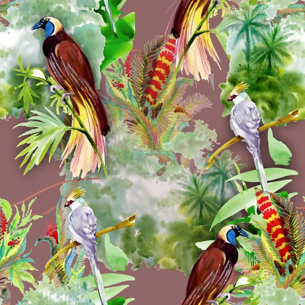 Exotic birds with flowers — Stock Photo, Image