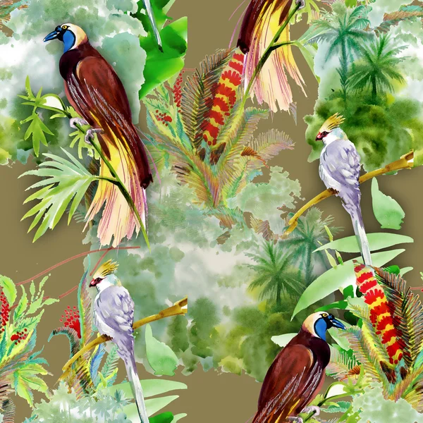 Экзотические птицы с цветами — стоковое фото