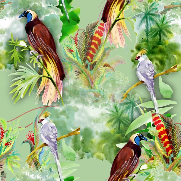 Exotic birds with flowers — Stock Photo, Image