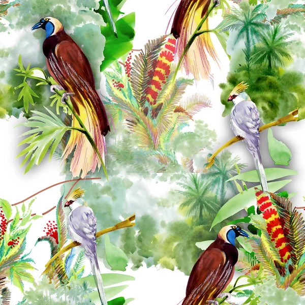 Exotic birds with flowers — Stock Photo, Image