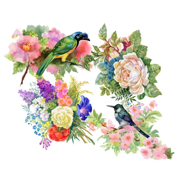 Exotic birds with flowers — Stock Photo, Image