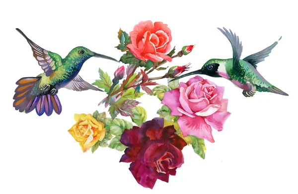 Exotic birds with flowers — Stock Photo, Image