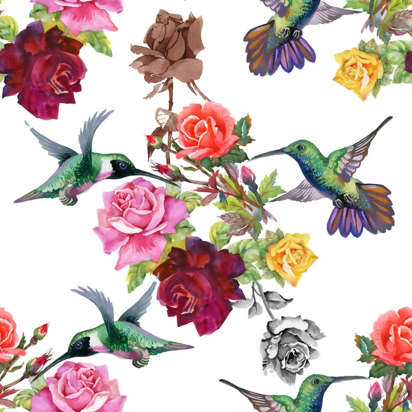Aves exóticas con flores —  Fotos de Stock