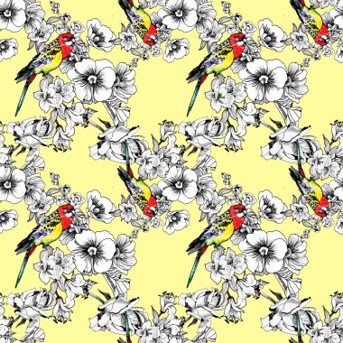 Egzotik kuşlar çiçekler