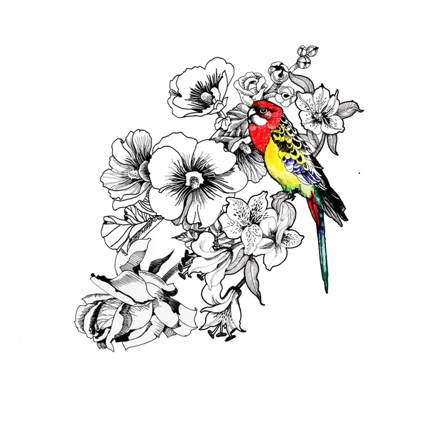 Τροπικό παπαγάλος με λουλούδια — Φωτογραφία Αρχείου