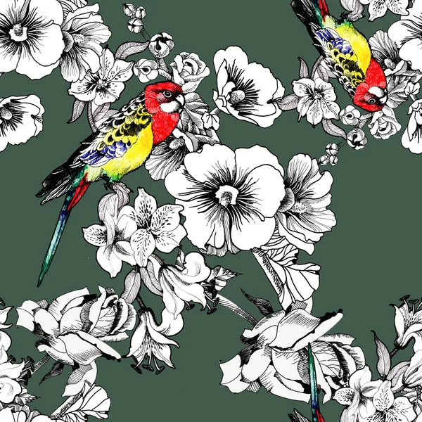 Oiseaux exotiques avec fleurs — Photo