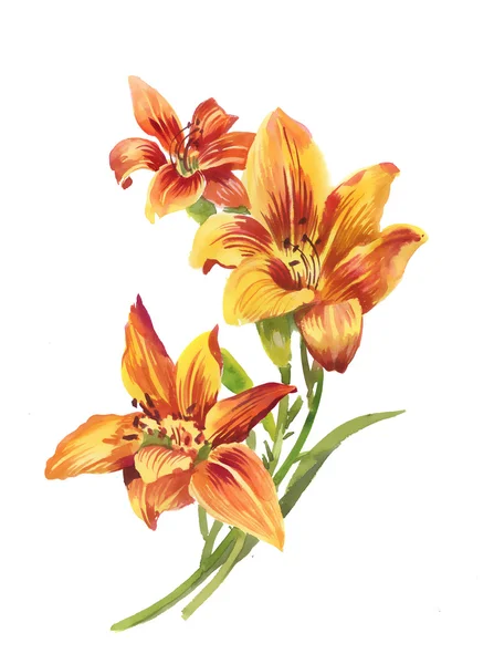 Watercolor garden flowers — Stock Photo, Image