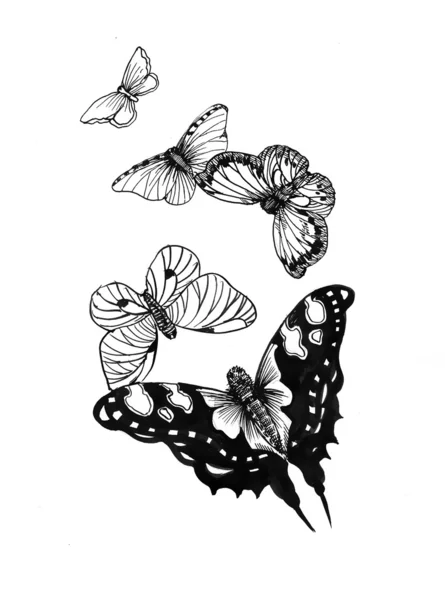 Hand drawing Butterflies — Stock Photo, Image