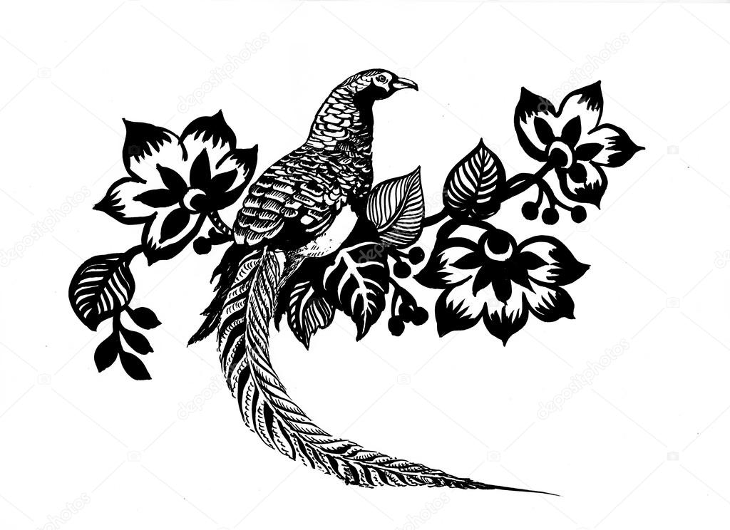 Pheasant bird sketch