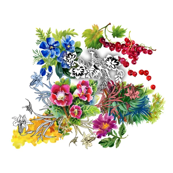 Fasan mit bunten Blumen — Stockfoto