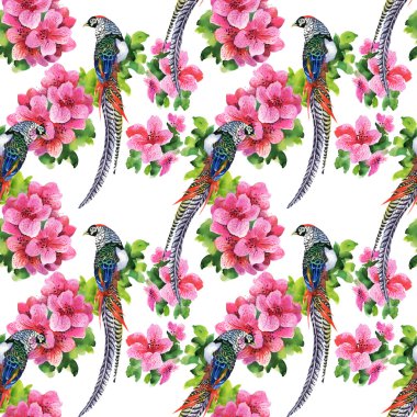 çiçekli tropikal kuşlar