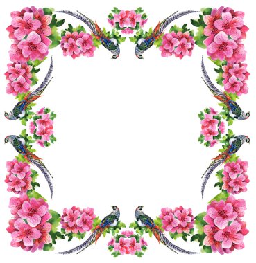 çiçekli tropikal kuşlar