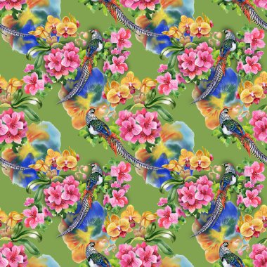 çiçekli tropikal kuşlar