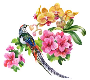 Çiçekli tropik kuş