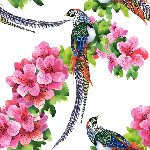 Oiseaux tropicaux avec fleurs — Photo