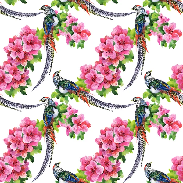 Tropische vogels met bloemen — Stockfoto