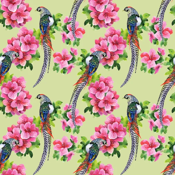 Tropical birds with flowers — Stock Photo, Image
