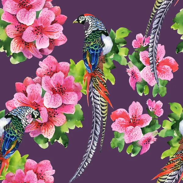 Oiseaux tropicaux avec fleurs — Photo