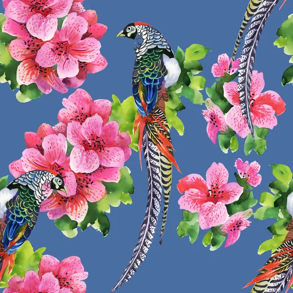 Oiseaux tropicaux avec fleurs — Photo