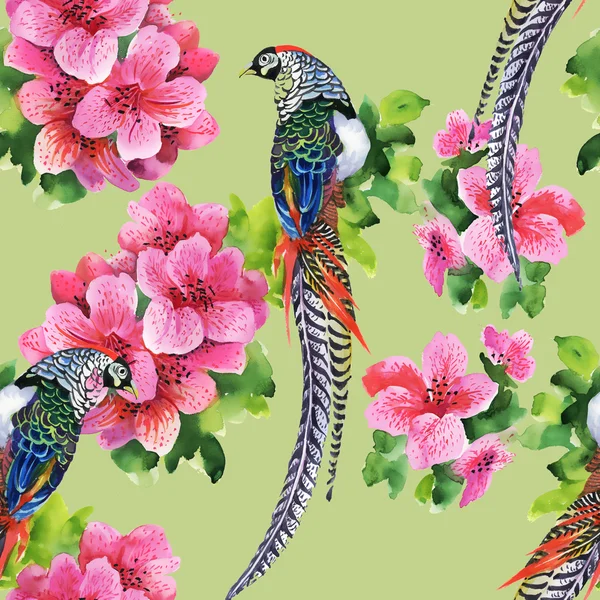 Тропические птицы с цветами — стоковое фото