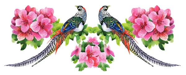 Tropičtí ptáci s květinami — Stock fotografie