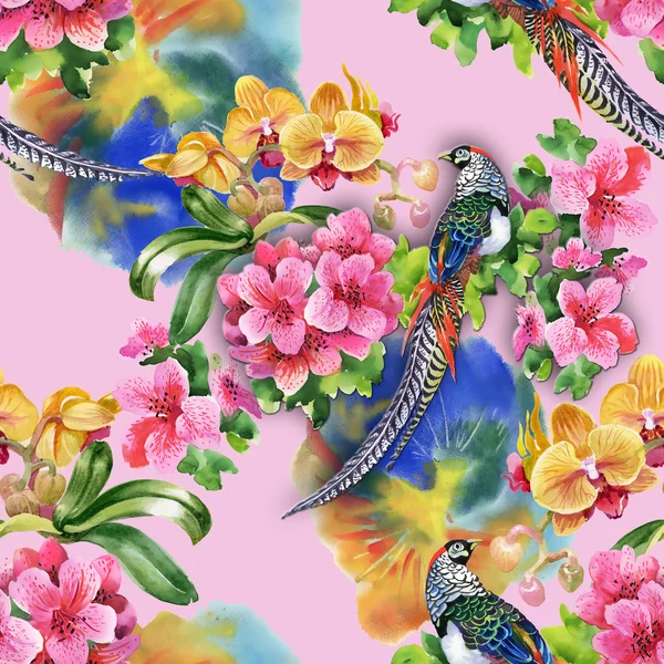 Aves tropicais com flores — Fotografia de Stock
