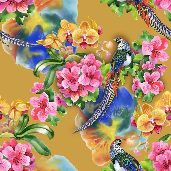 Aves tropicais com flores — Fotografia de Stock
