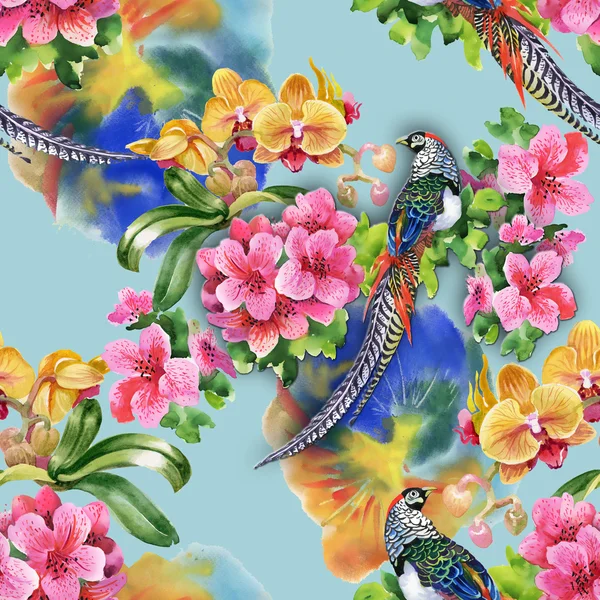 Oiseaux tropicaux avec fleurs — Photo