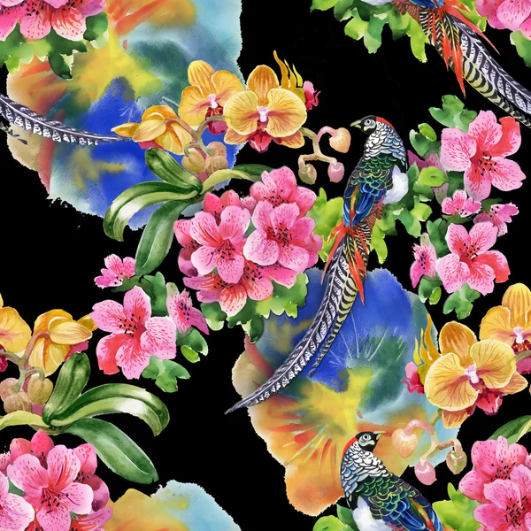 Tropičtí ptáci s květinami — Stock fotografie