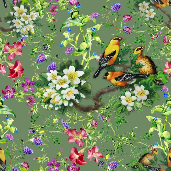 热带鸟，在开花的树 — 图库照片