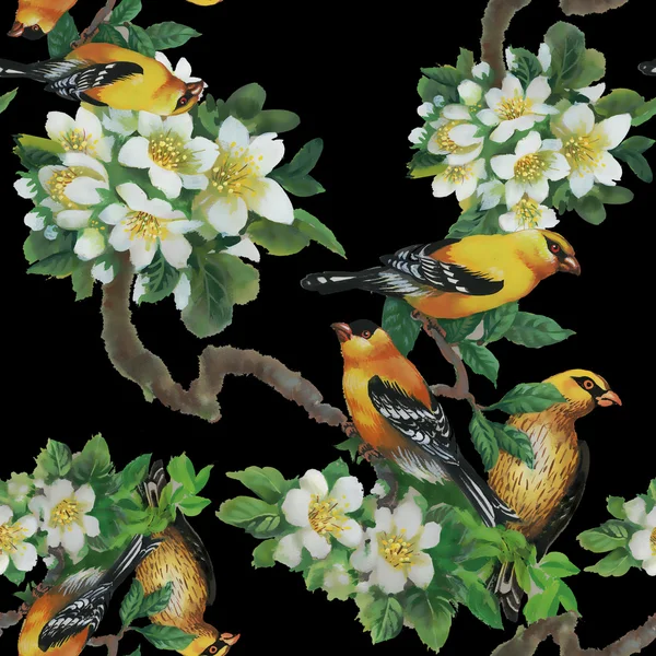 Aves tropicales con árbol en flor —  Fotos de Stock