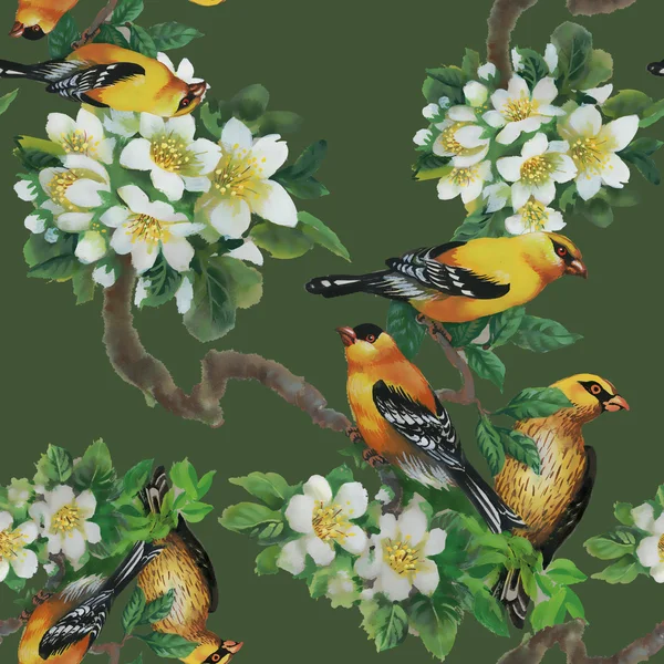 Uccelli tropicali con albero in fiore — Foto Stock