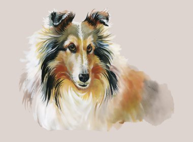 Kömür ocağı hayvan köpek