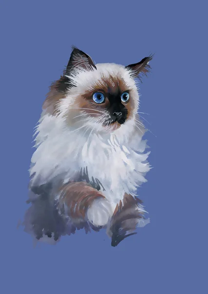 Ritratto ad acquerello del gatto — Foto Stock