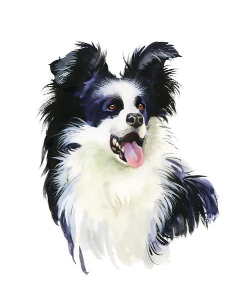 Animal cão ilustração — Fotografia de Stock