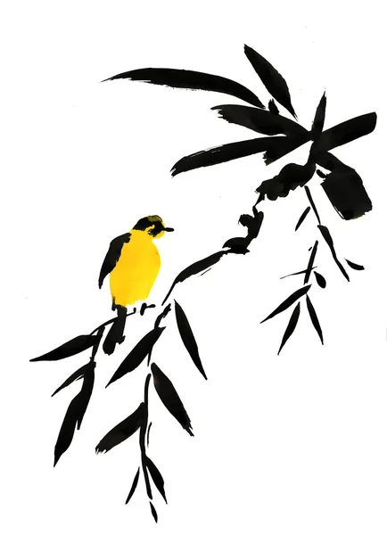 Colibri oiseau et fleurs — Photo