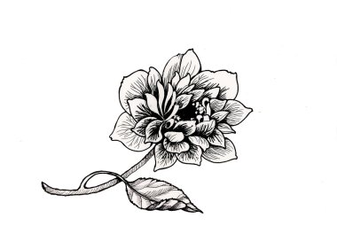 Elle çizilmiş Bahçe çiçek