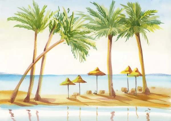 Akvarell Palm sikátor — Stock Fotó