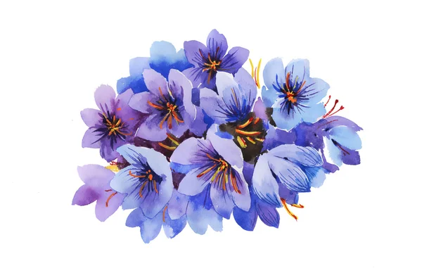 Watercolor violet flowers — Stock Photo, Image