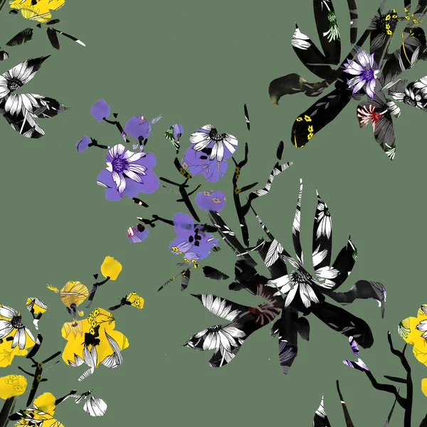 Барвисті Лугові квіти — стокове фото