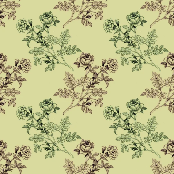 Roses seamless pattern — Stock Photo, Image