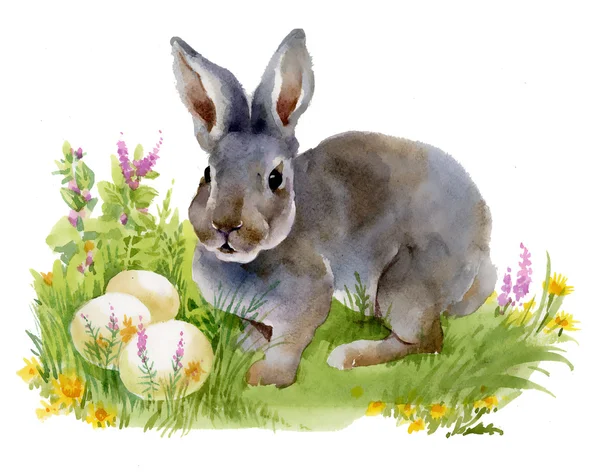 Hare with Easter eggs — Stock Photo, Image