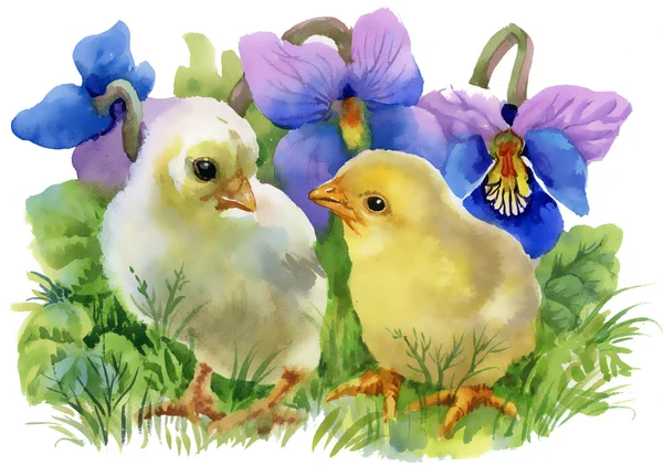 Žlutá kuřata akvarel — Stock fotografie